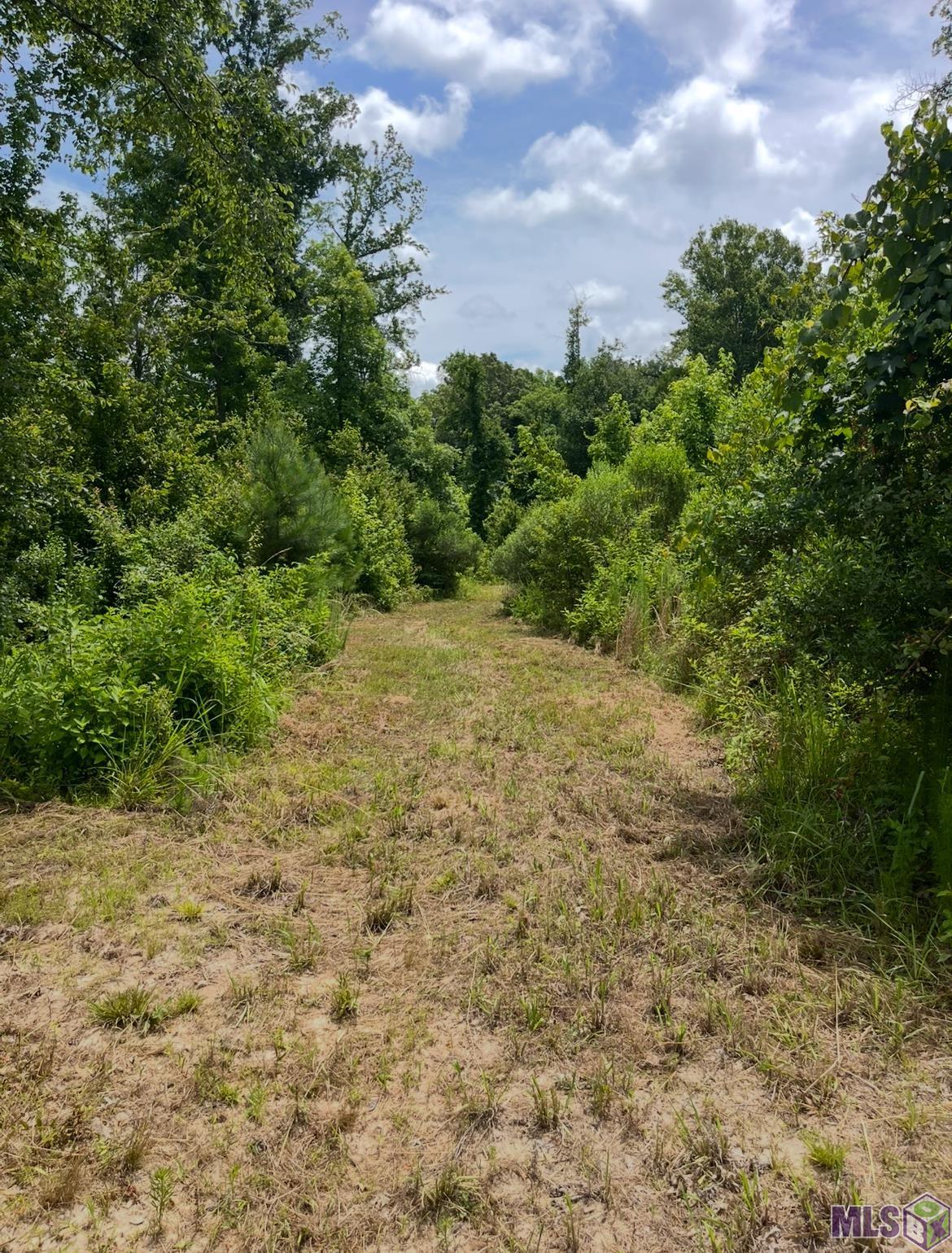 11255 Old Port Gibson Road Port Gibson, MS 39150 - Photo 21 of 32