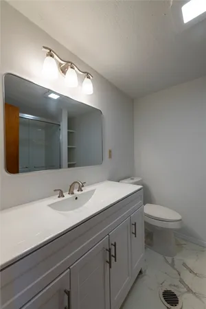 a bathroom with a sink a toilet and mirror