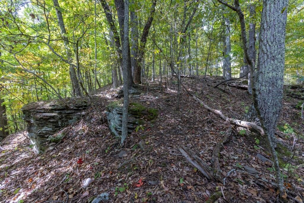 2889 Kieffer Road Crawley, WV 24931 - Photo 9 of 10 Gallery Image 9