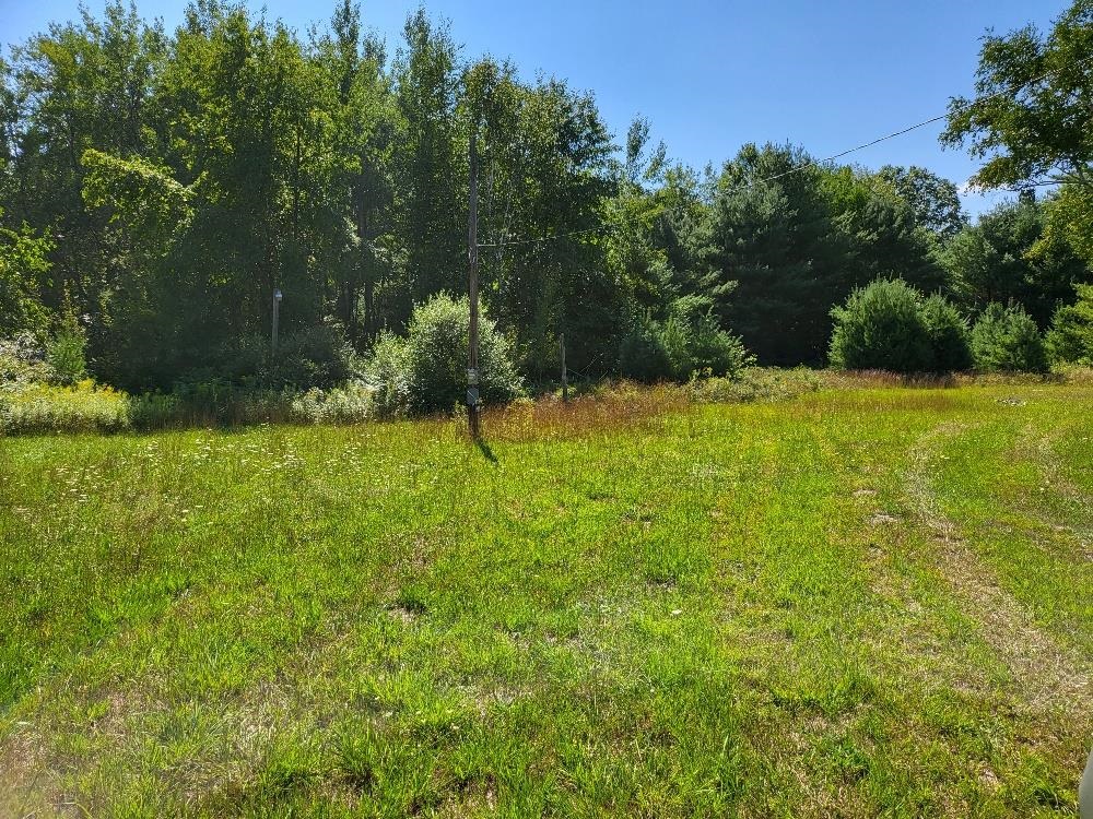 498 West Ridge Road Gladwin, MI 48624 - Photo 2 of 13