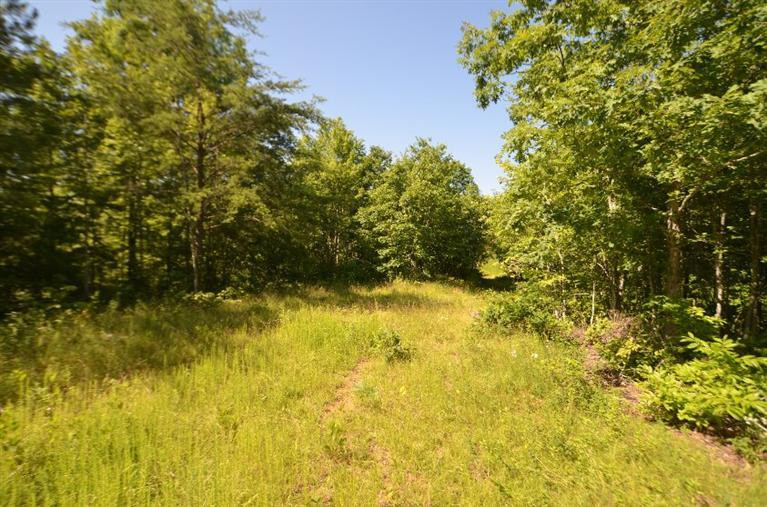 300 Farm Ridge Road Beattyville, KY 41311 - Photo 40 of 48 Photo 41