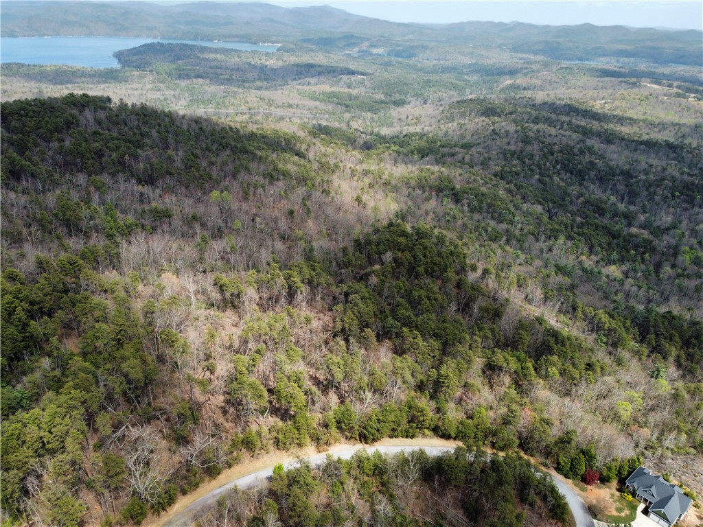 N23 Jocassee Ridge Way Salem, SC 29676 - Photo 12 of 12