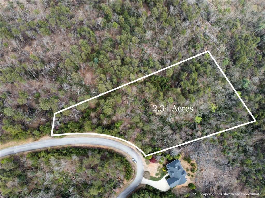 N23 Jocassee Ridge Way Salem, SC 29676 - Photo 3 of 12 Property lines depicted on aerial photographs may not be representative of actual property lines.