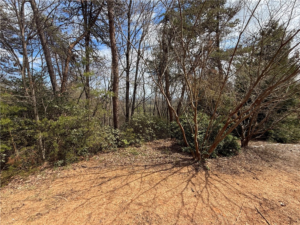 N23 Jocassee Ridge Way Salem, SC 29676 - Photo 7 of 12