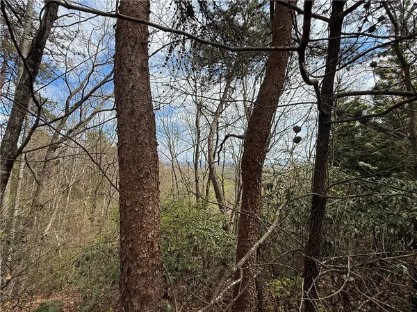 $60,000 | N23 Jocassee Ridge Way, Salem, SC 29676