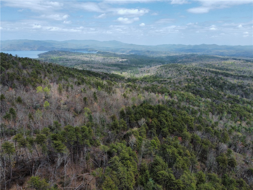 N23 Jocassee Ridge Way Salem, SC 29676 - Photo 10 of 12