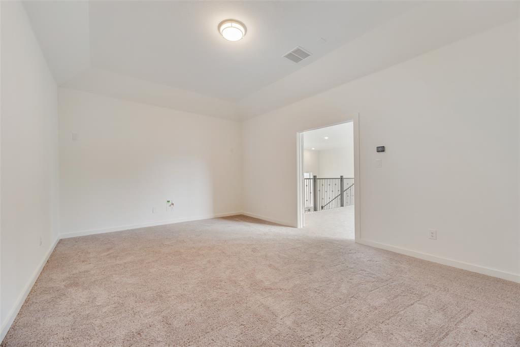 15543 Fringe Tree Road Frisco, TX 75035 - Photo 19 of 26