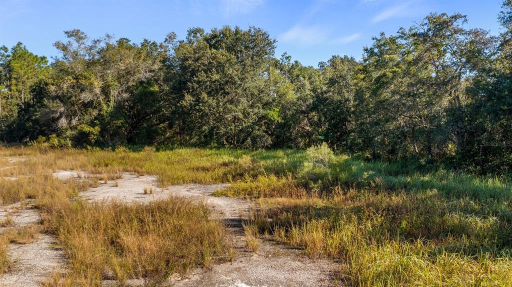 23158 Loop Road Groveland, FL 34736 - Photo 19 of 28 Gallery Image 19
