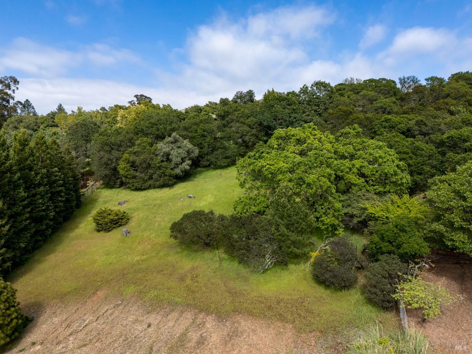2501 Incline Drive Santa Rosa, CA 95404 - Photo 3 of 12 a view of a yard with a tree