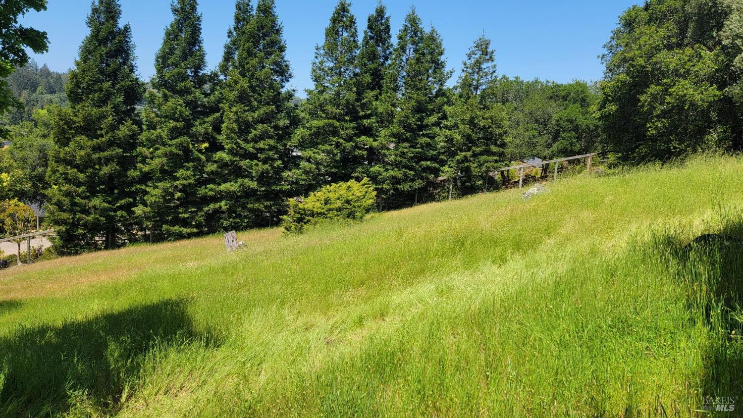 2501 Incline Drive Santa Rosa, CA 95404 - Photo 4 of 12 a view of a large yard with plants and large trees