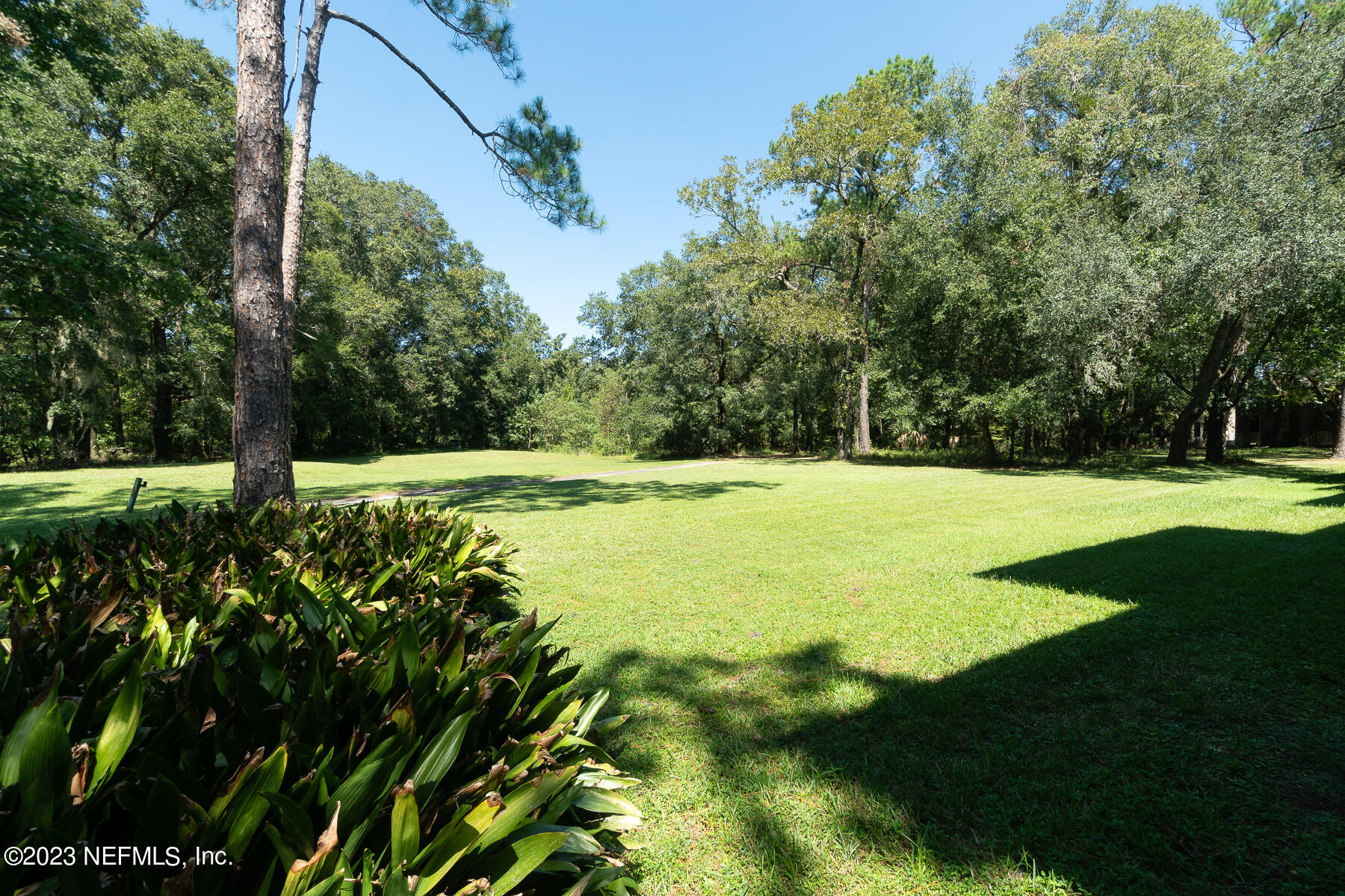 2910 Ravines Road, Unit 1102 Middleburg, FL 32068 - Photo 24 of 43 a view of green field with trees in the background