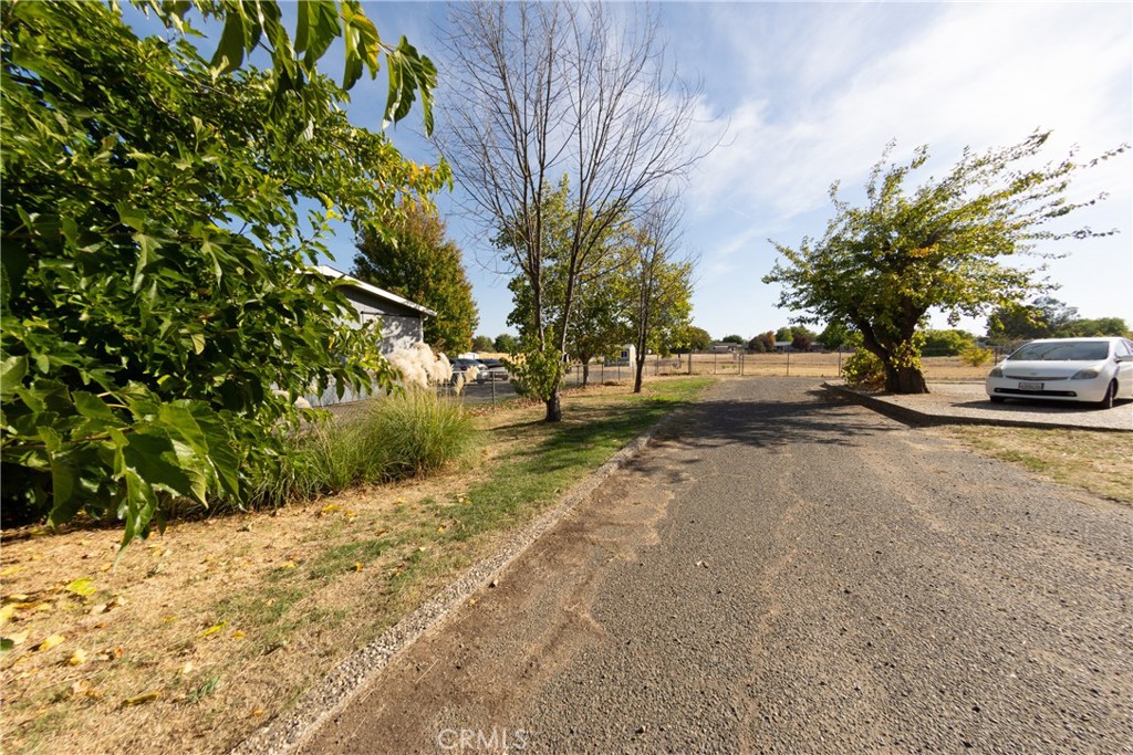 655 Nelson Avenue Oroville, CA 95965 - Photo 48 of 51 Driveway from Nelson Ave.