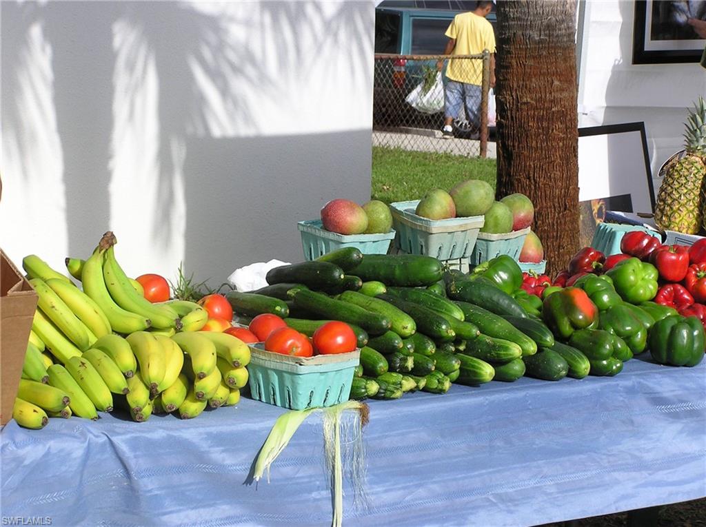 360 Fox Den Circle Naples, FL 34104 - Photo 36 of 41 a store filled with lots of different kinds of flowers