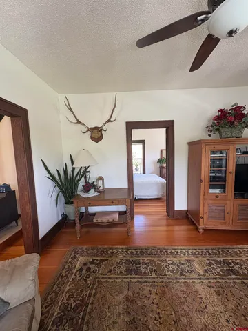 a view of a room with wooden floor and a potted plant
