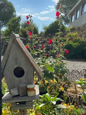 a view of a wooden house with a yard and trees in the background