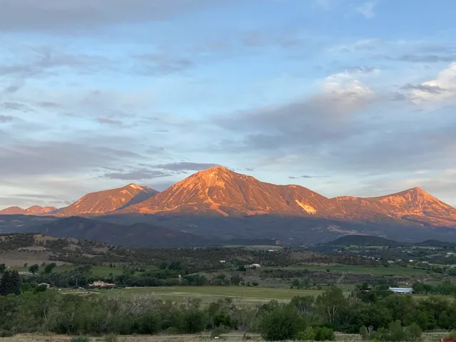 an aerial view of a house with a yard and large trees