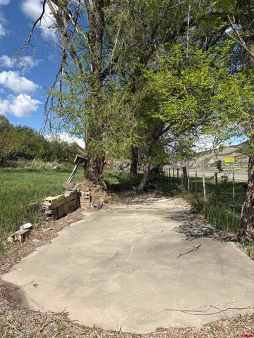 a picture of flowers