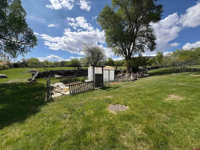 a view of a bunch of trees in a yard