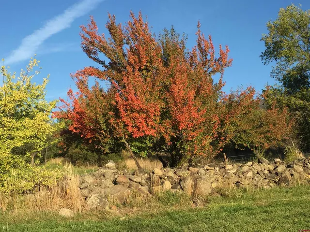 $762,000 | 41161 Highway 133, Paonia, CO 81428