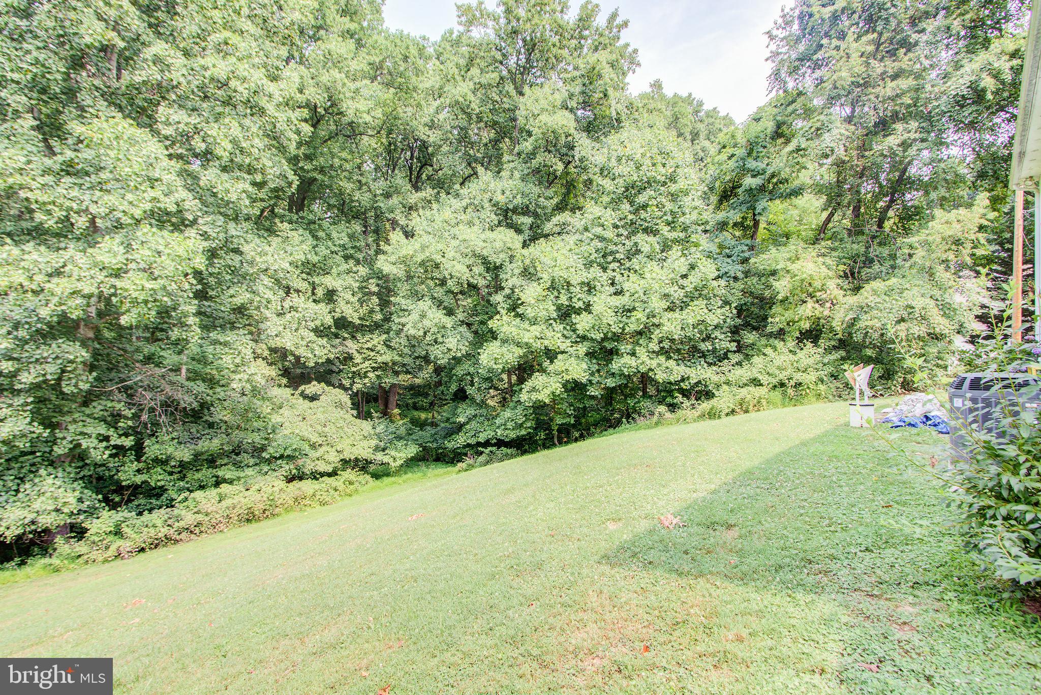 19411 Jerusalem Road Poolesville, MD 20837 - Photo 8 of 47