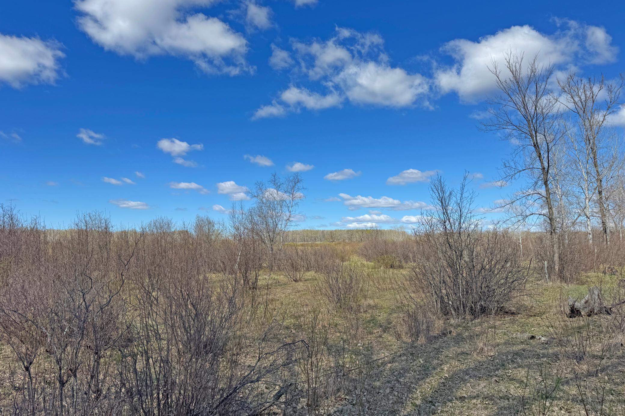 0 Fairview Road Kettle River, MN 55757 - Photo 13 of 31