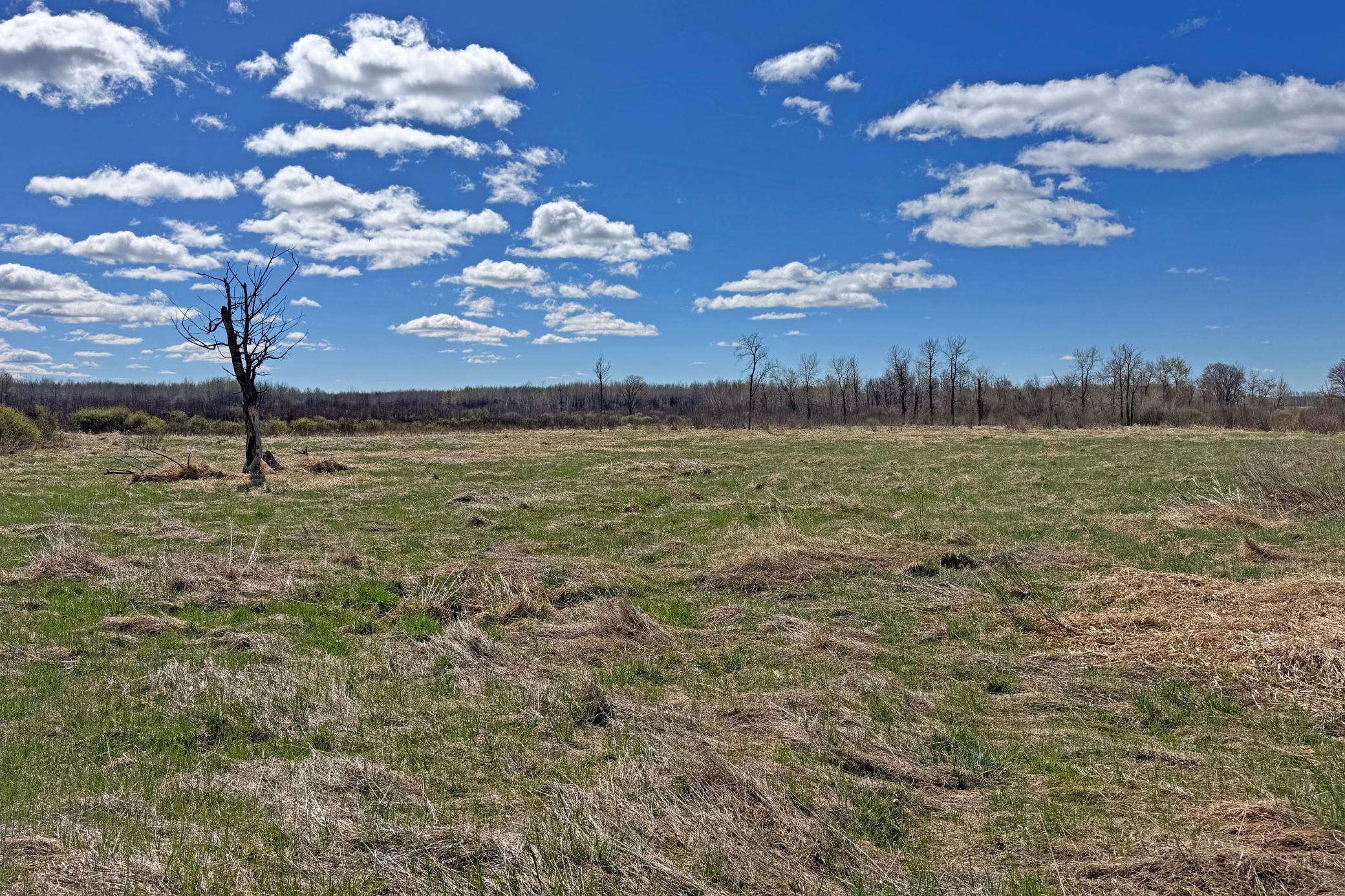 0 Fairview Road Kettle River, MN 55757 - Photo 15 of 31