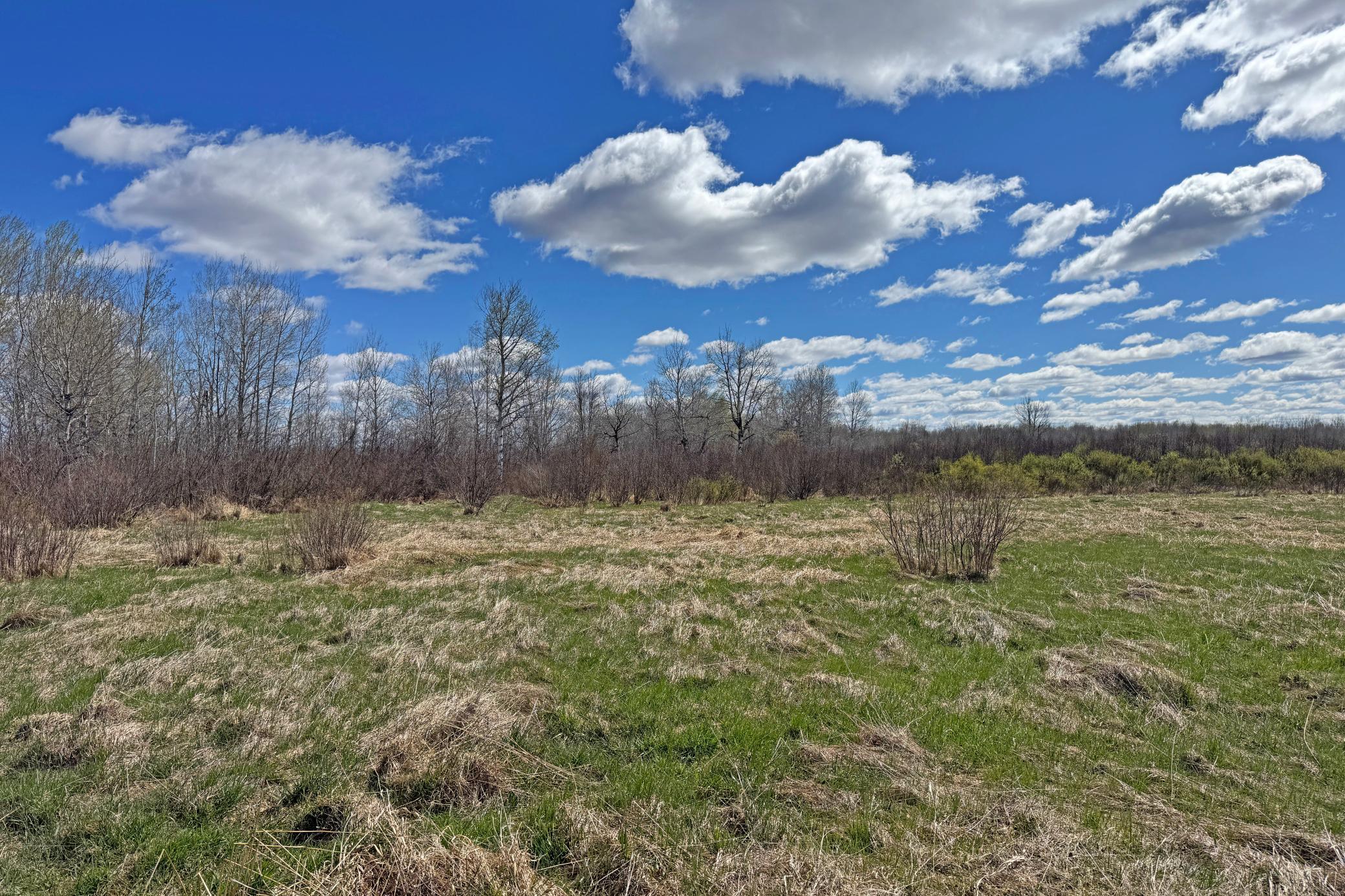 0 Fairview Road Kettle River, MN 55757 - Photo 16 of 31