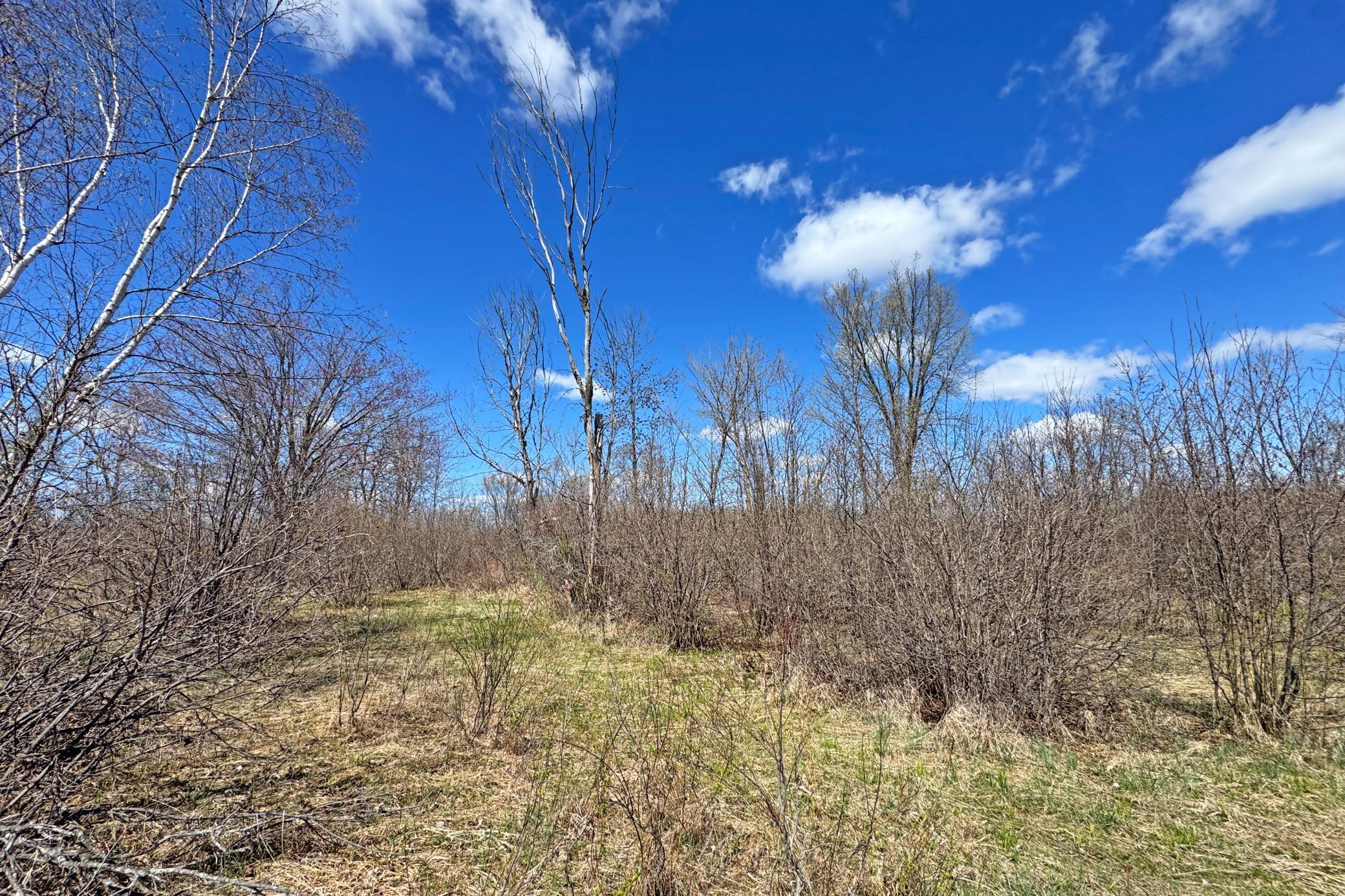 0 Fairview Road Kettle River, MN 55757 - Photo 20 of 31