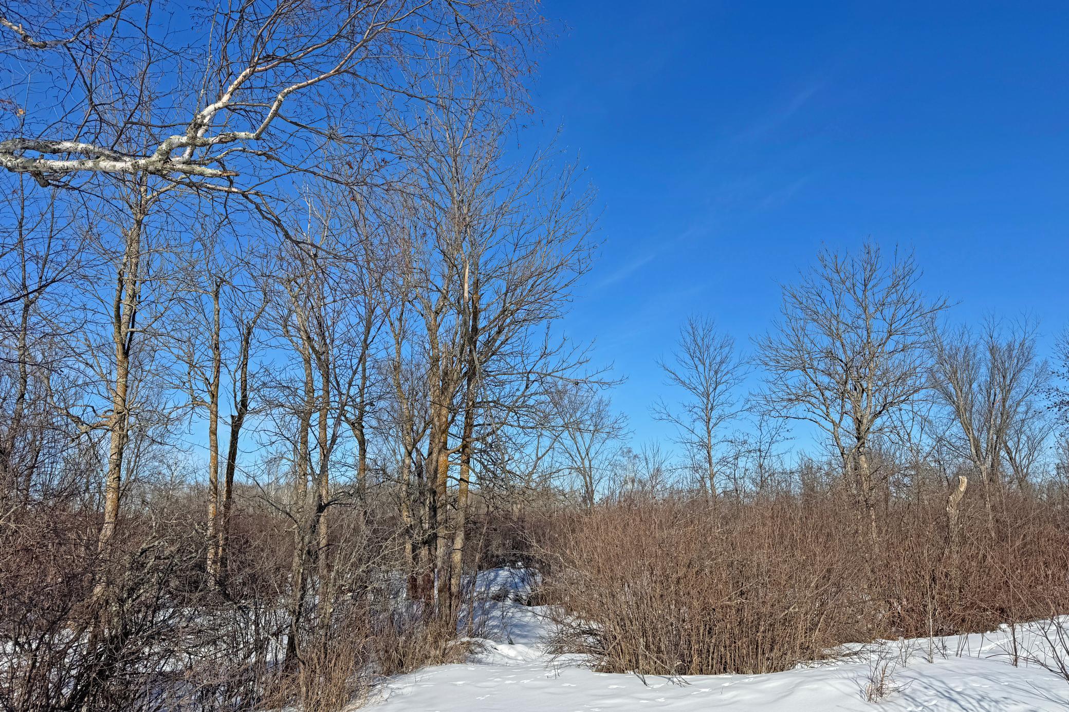 0 Fairview Road Kettle River, MN 55757 - Photo 20 of 38