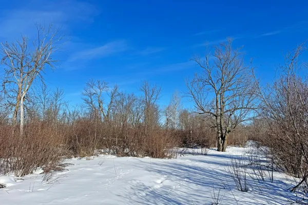 $216,000 | 0 Fairview Road, Kettle River, MN 55757