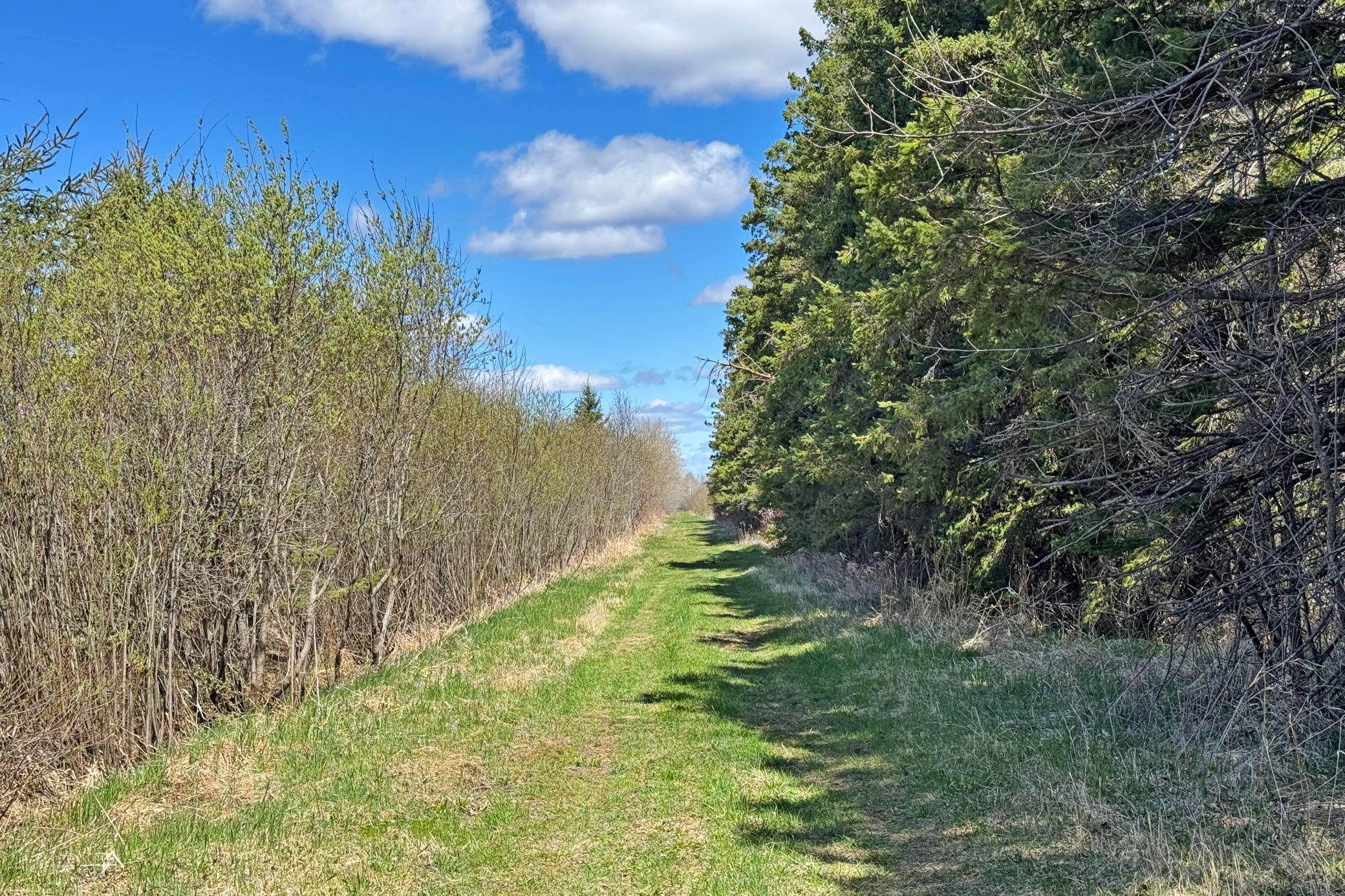 0 Fairview Road Kettle River, MN 55757 - Photo 21 of 31