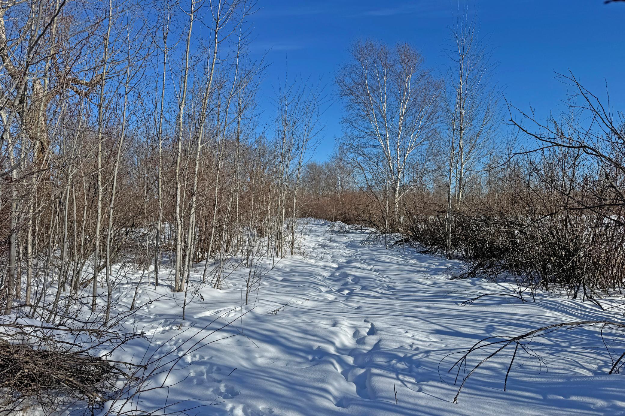 0 Fairview Road Kettle River, MN 55757 - Photo 22 of 38