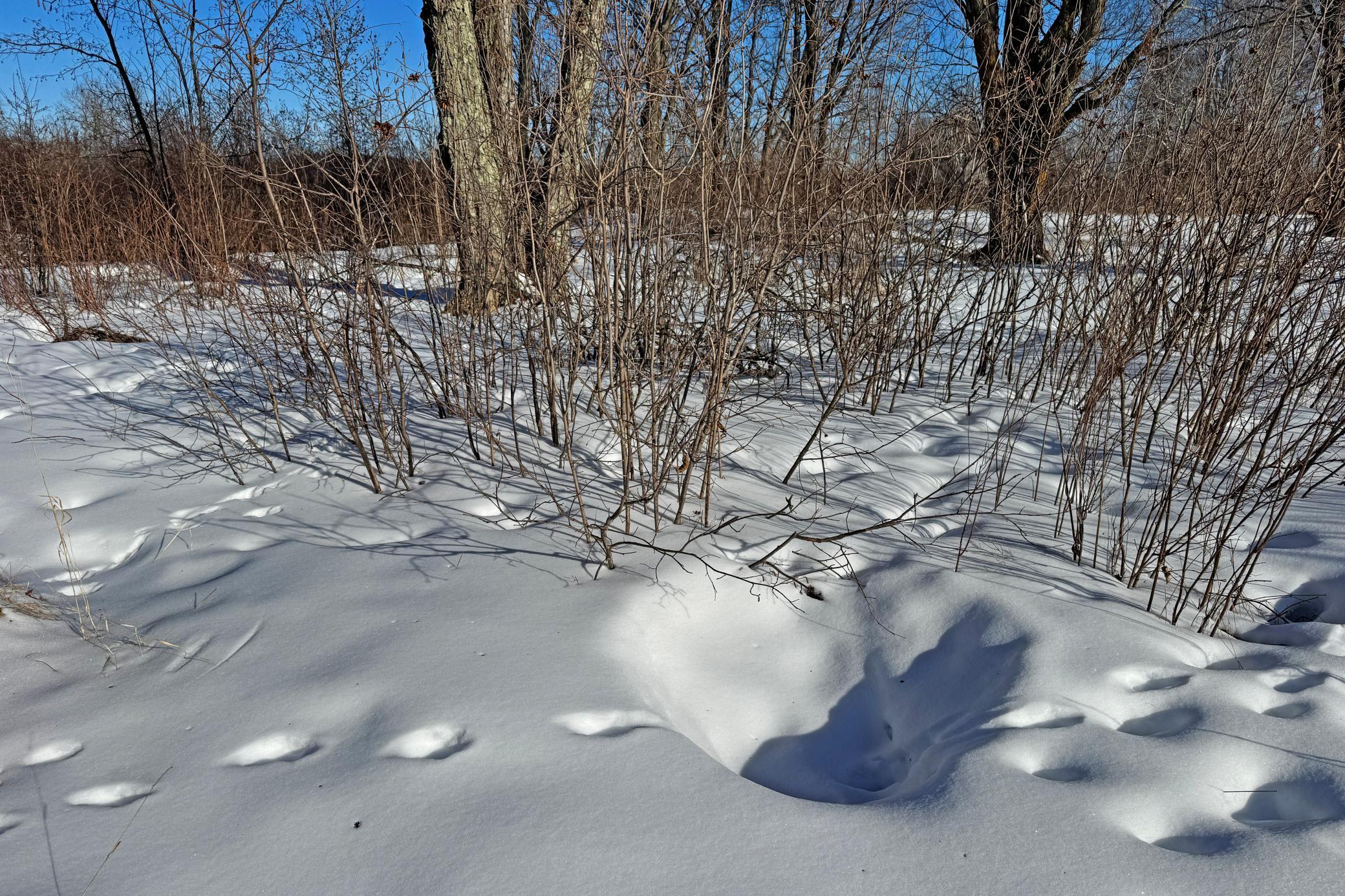 0 Fairview Road Kettle River, MN 55757 - Photo 23 of 38