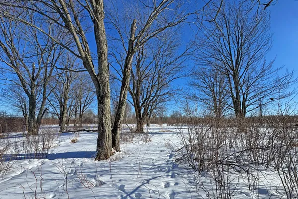 $216,000 | 0 Fairview Road, Kettle River, MN 55757