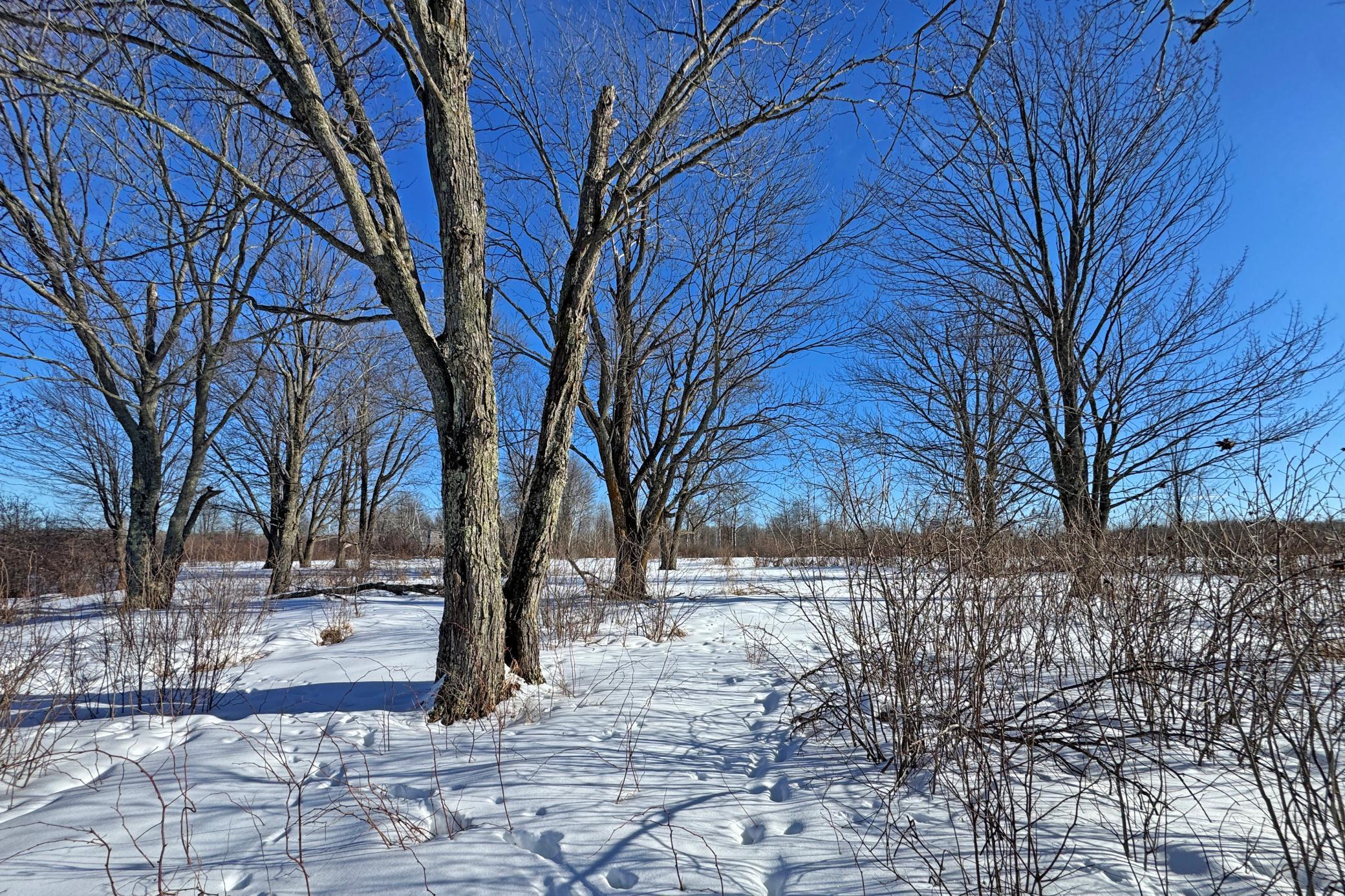 0 Fairview Road Kettle River, MN 55757 - Photo 24 of 38