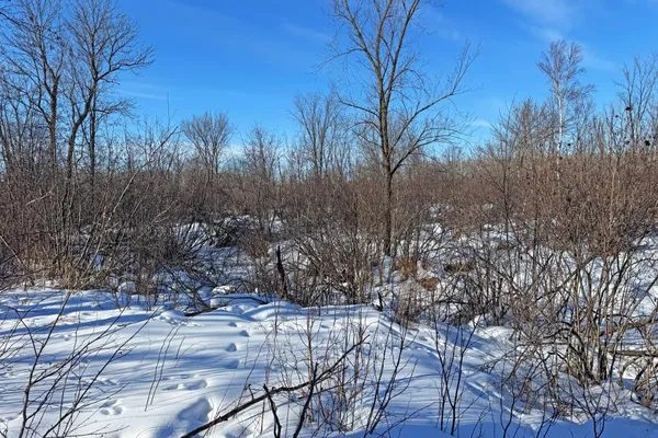 $216,000 | 0 Fairview Road, Kettle River, MN 55757