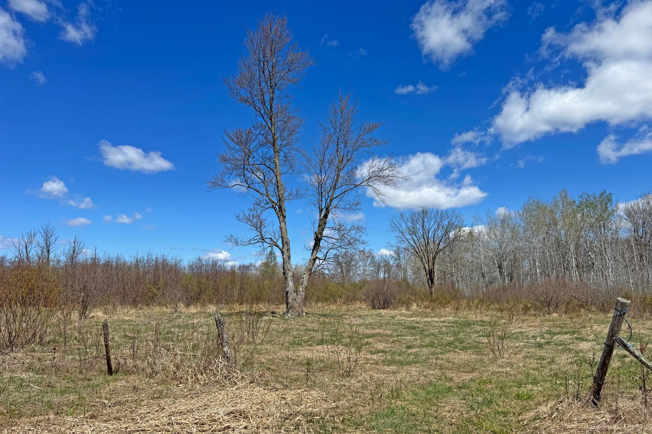 0 Fairview Road Kettle River, MN 55757 - Photo 26 of 31