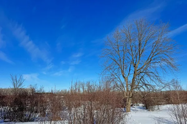 $216,000 | 0 Fairview Road, Kettle River, MN 55757