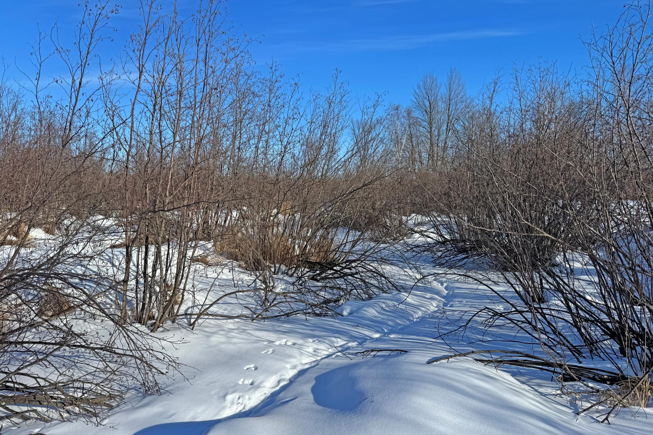 0 Fairview Road Kettle River, MN 55757 - Photo 28 of 38