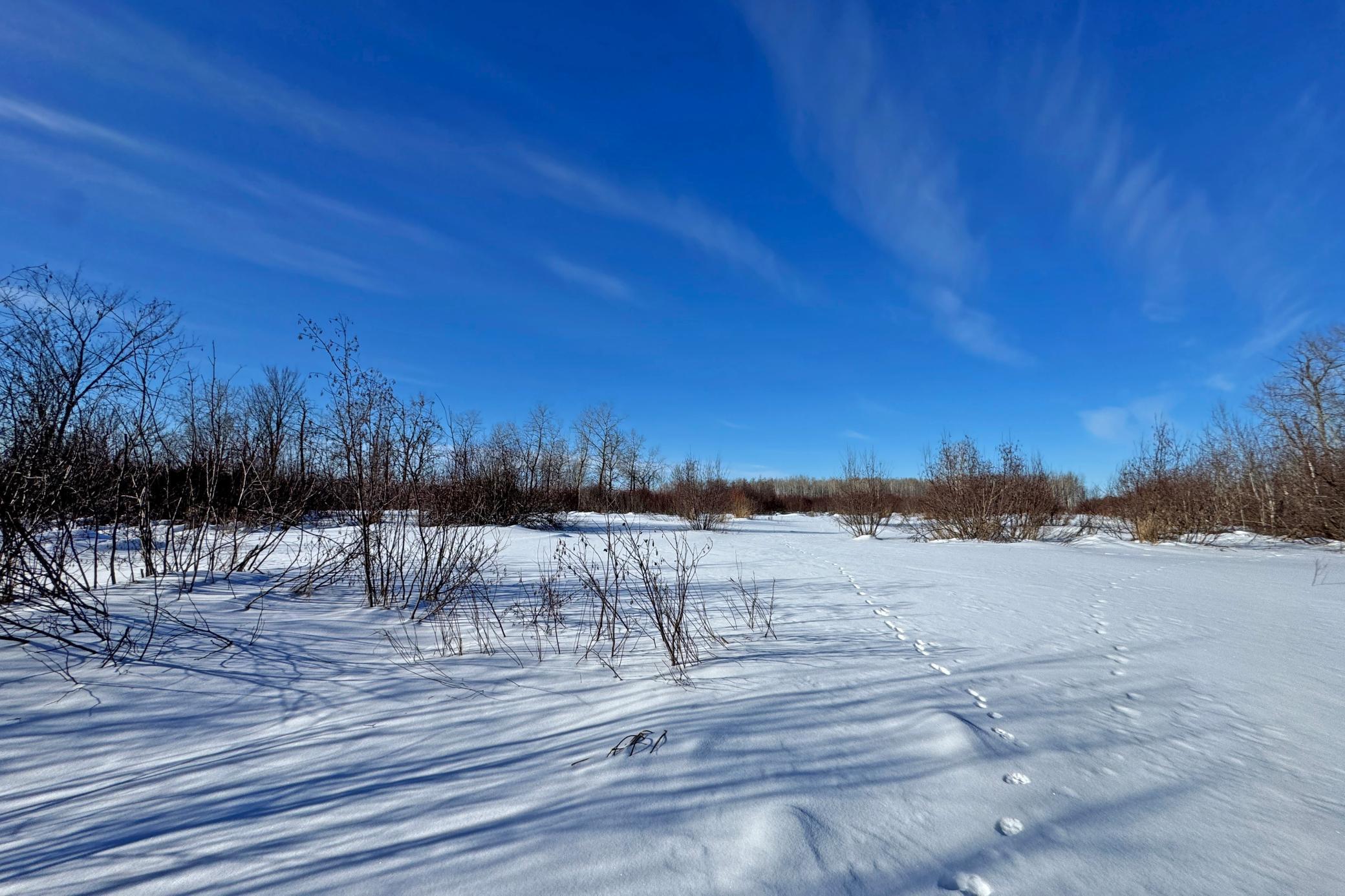 0 Fairview Road Kettle River, MN 55757 - Photo 29 of 38