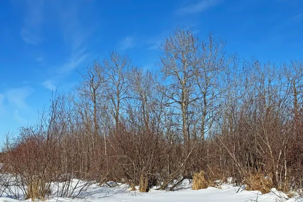 $216,000 | 0 Fairview Road, Kettle River, MN 55757