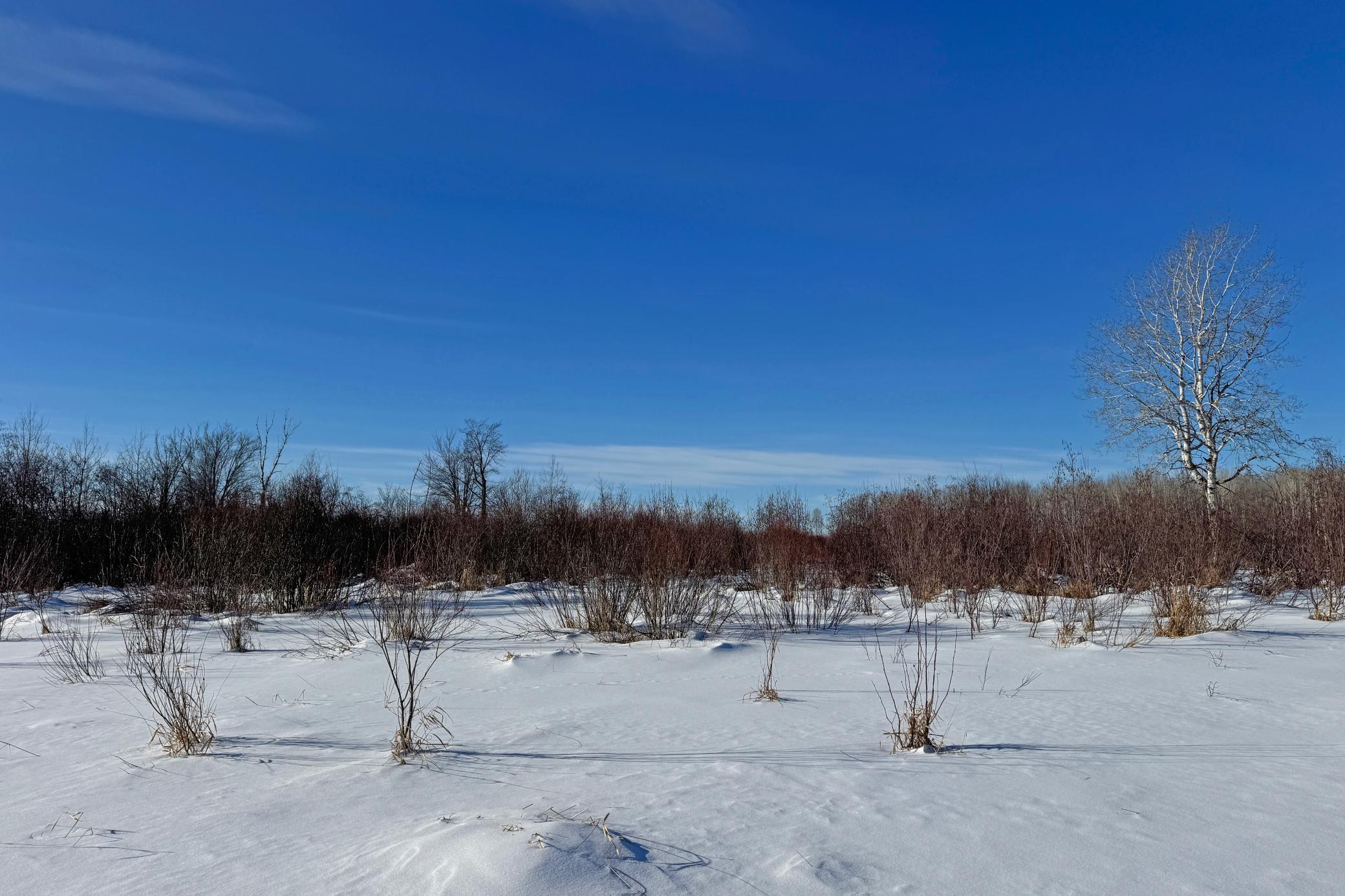 0 Fairview Road Kettle River, MN 55757 - Photo 35 of 38