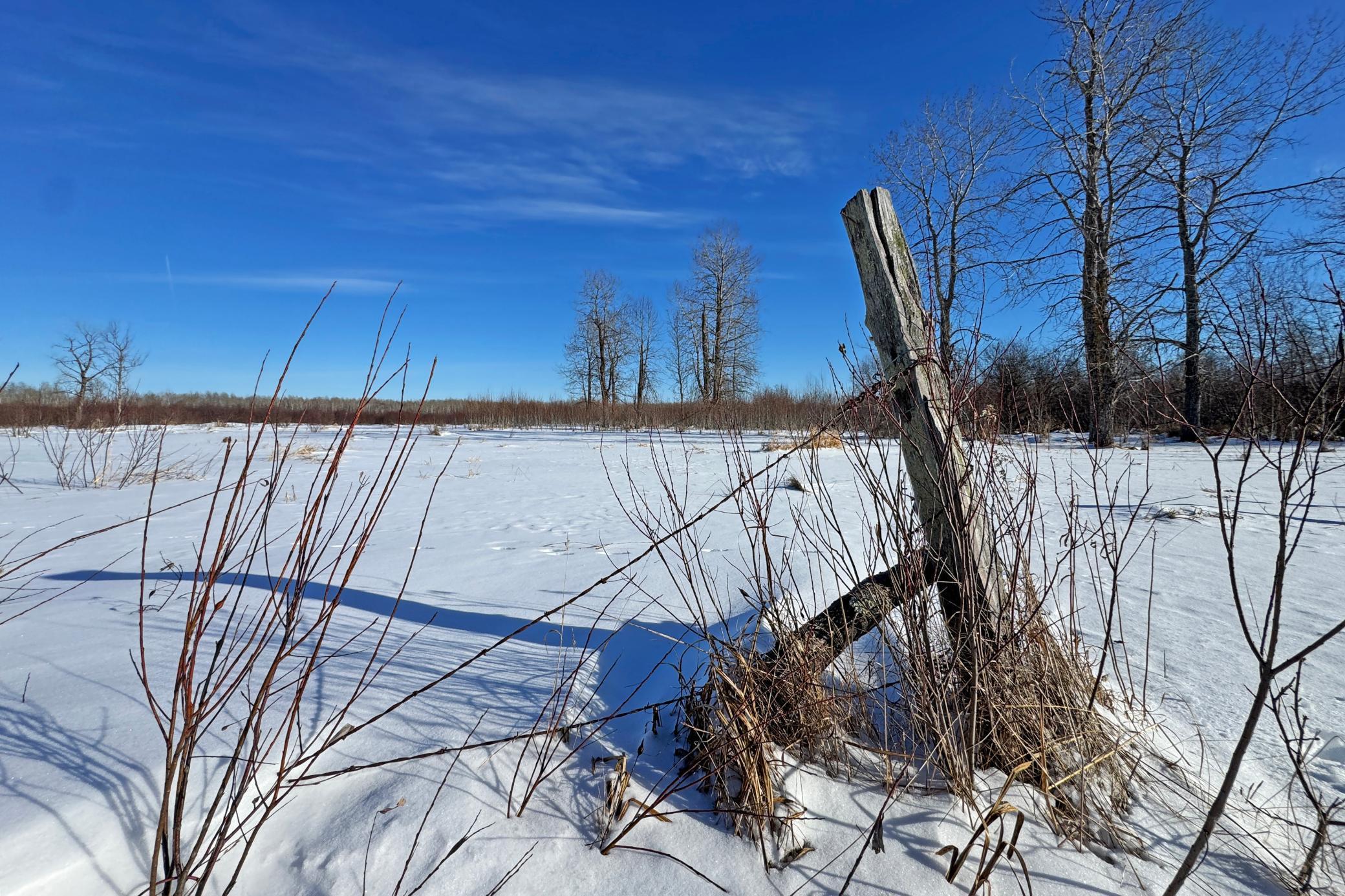 0 Fairview Road Kettle River, MN 55757 - Photo 37 of 38