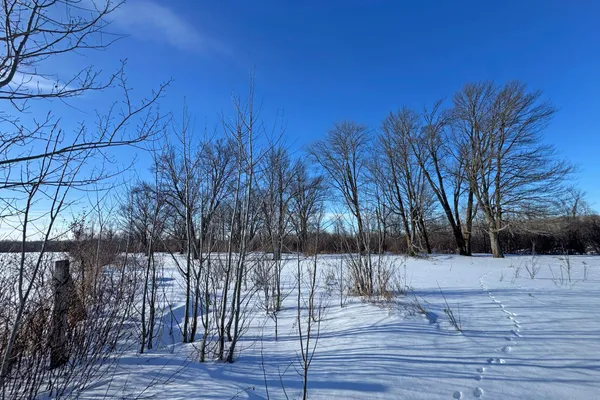 $216,000 | 0 Fairview Road, Kettle River, MN 55757