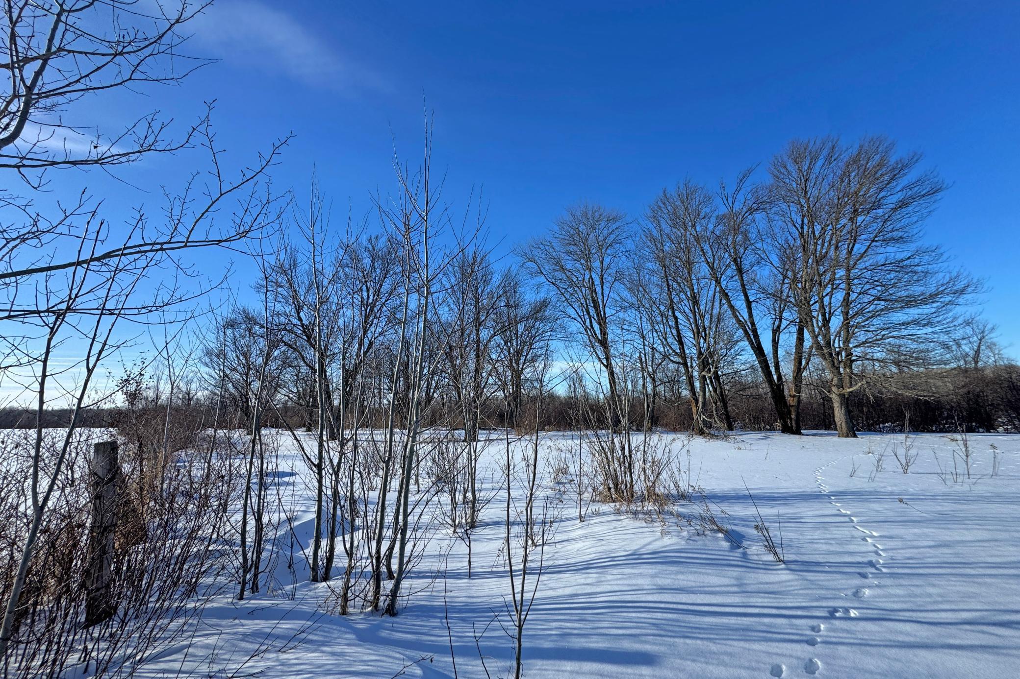 0 Fairview Road Kettle River, MN 55757 - Photo 38 of 38