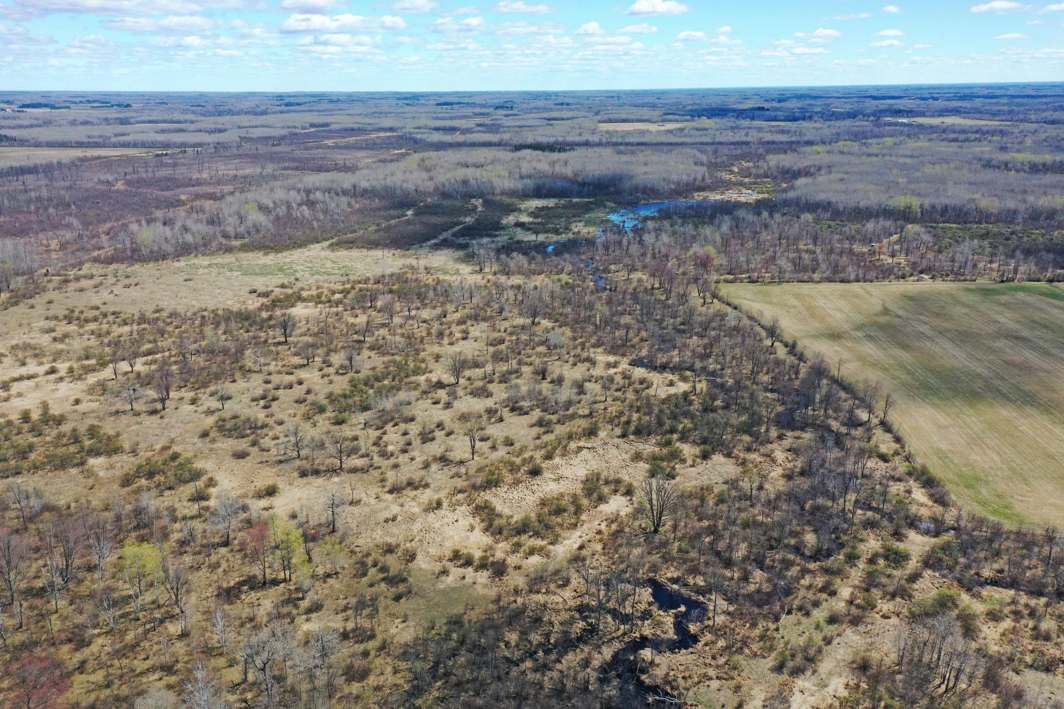 0 Fairview Road Kettle River, MN 55757 - Photo 10 of 31