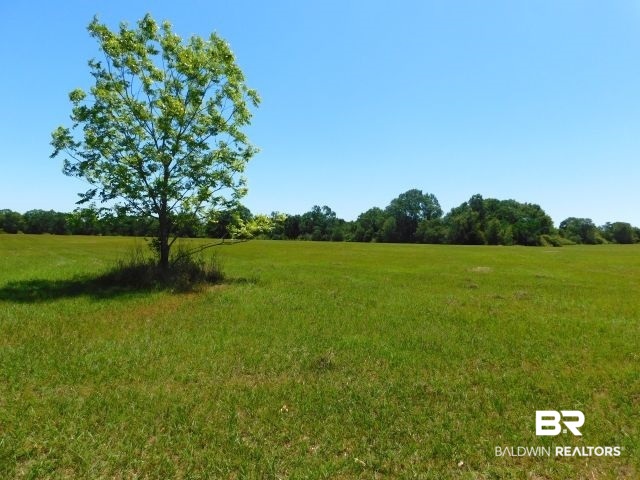 5884 Saroadine Road Brewton, AL 36426 - Photo 38 of 45