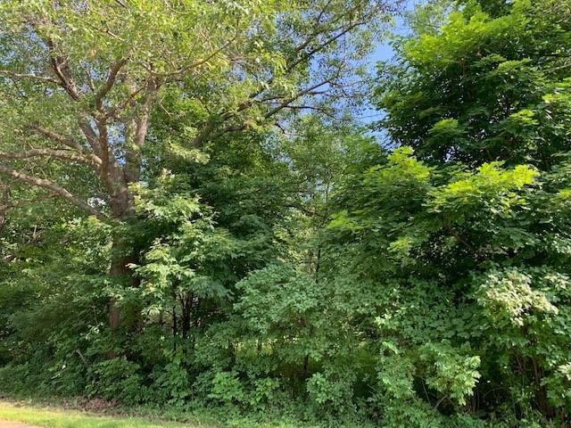 Lot 1 Lire Street Rothschild, WI 54474 - Photo 1 of 1