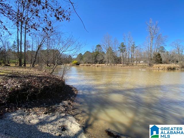 475 Crawfish Lane Ragland, AL 35131 - Photo 9 of 24