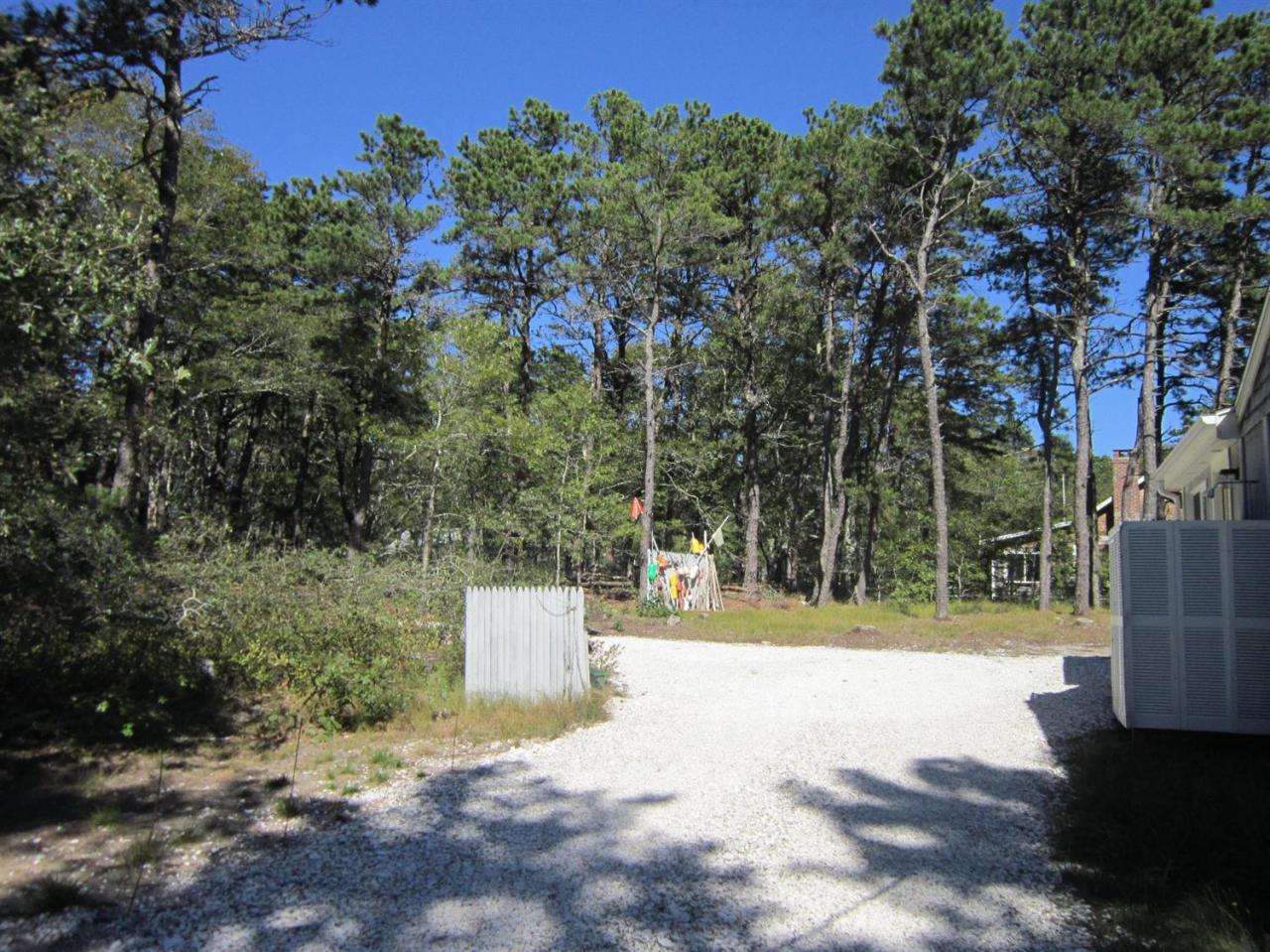 30 Bartlett Road Wellfleet, MA 02667 - Photo 12 of 12 a view of a yard with a tree